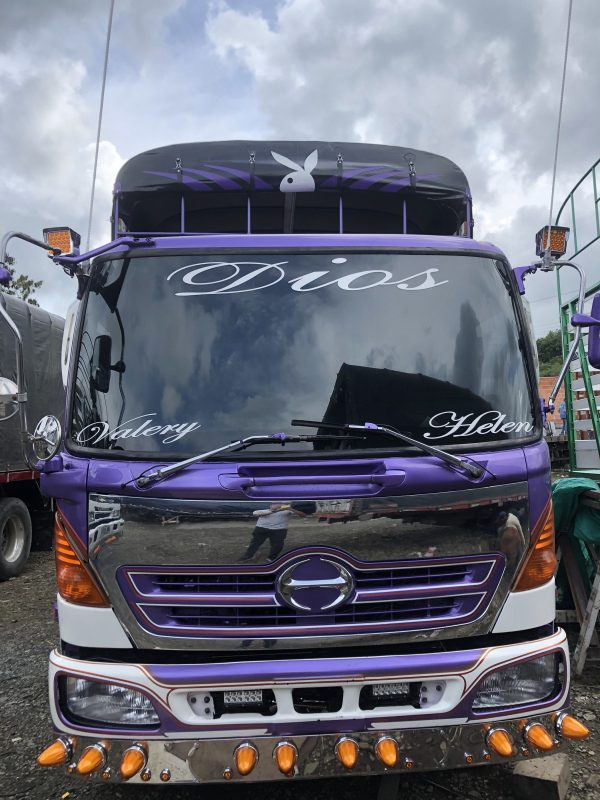 HINO FC - Imagen 3